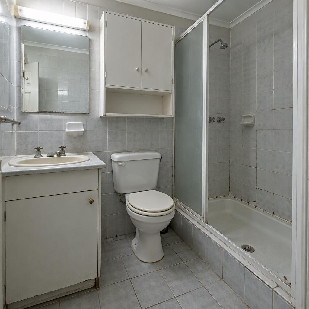 Situatie vóór de renovatie: Voor